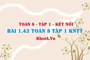 Bài 1.43 SGK Toán 8 tập 1 Kết nối tri thức